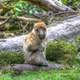Image for article titled Shooting Challenge: HDR Gallery